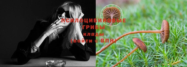 первитин Арсеньев