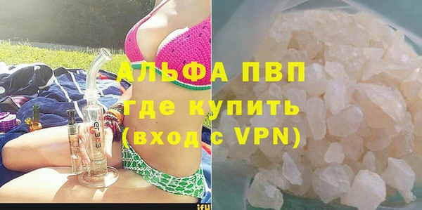 прущие грибы Армянск