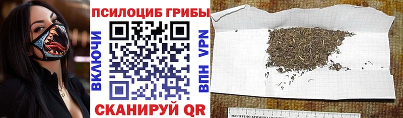 Псилоцибиновые грибы мухоморы  Баксан 