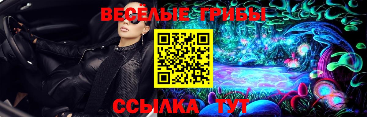 Баксан  Галлюциногенные грибы Cubensis  Вход с VPN 